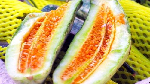 吃密瓜是什么水果,揭秘吃密瓜的独特魅力