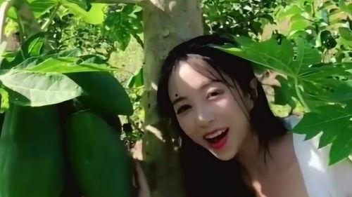 女孩回吃瓜怎么回,揭秘网络舆论背后的真相