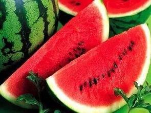 我们常吃的瓜有什么瓜,常见瓜类大盘点