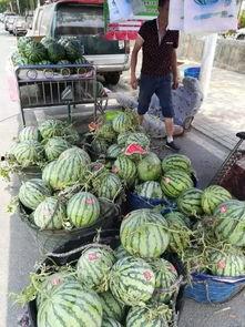 介休公安吃瓜事件,网络舆论下的警民互动风波