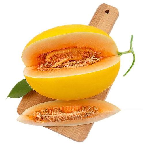 婆婆吃蜜瓜后续