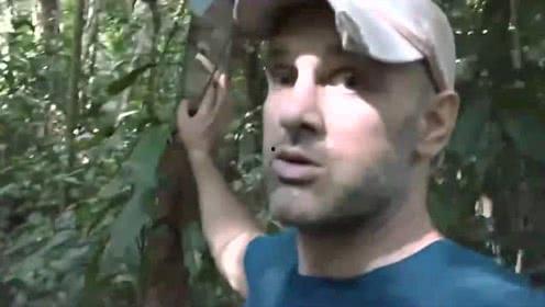 德爷吃瓜姐,揭秘娱乐圈背后的那些事儿