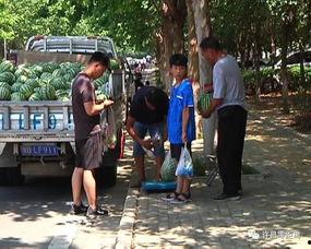 正安吃瓜群众,揭秘当地热点事件背后的故事