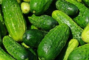 梦见自己吃八一瓜,揭秘八一瓜的神秘寓意