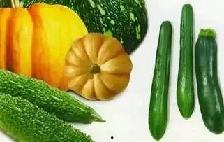 林琅吃瓜,揭秘娱乐圈幕后故事