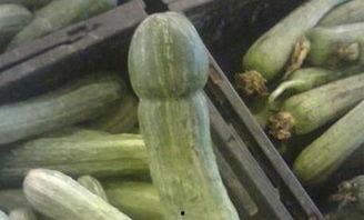 吃瓜有趣的图片,趣味吃瓜图鉴，解锁欢乐瞬间