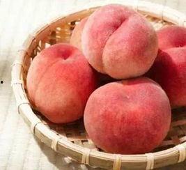 桃桃吃瓜了,揭秘娱乐圈最新热点事件