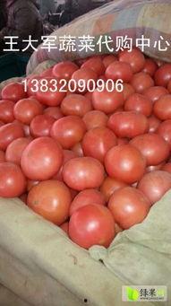 永年刘营吃瓜,夏日炎炎，吃瓜群众欢乐多