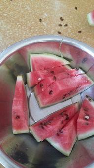 什么瓜吃不动了,揭秘“吃不动了”的瓜之谜