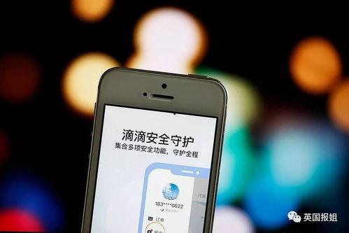 365天吃瓜下载,年度娱乐圈风云录