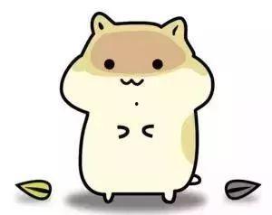 吃瓜仓鼠表情包,吃瓜表情包背后的趣味故事