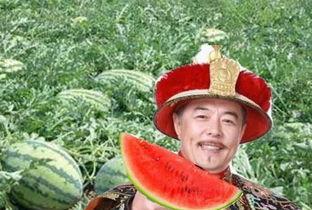 吃瓜皇帝杀瓜农,吃瓜皇帝与瓜农的生死对决